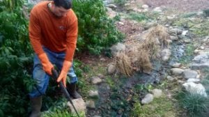 pond cleaning and maintenance